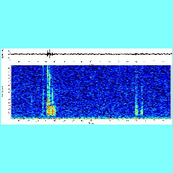 Corydoras ambiacus_spectrogram.png